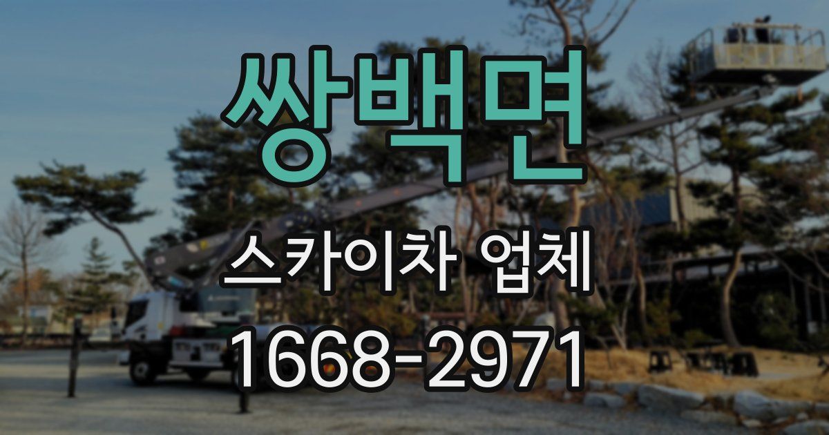 쌍백면 스카이차 업체