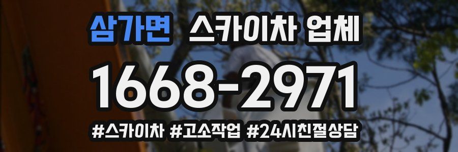 삼가면 스카이차 업체