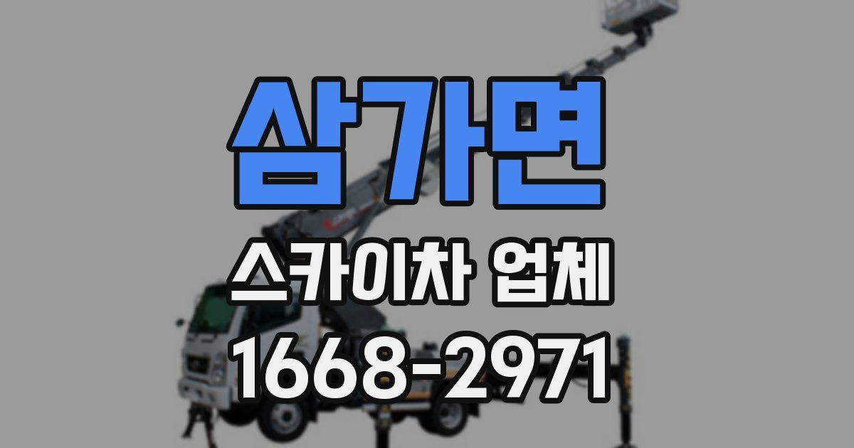 삼가면 스카이차 업체