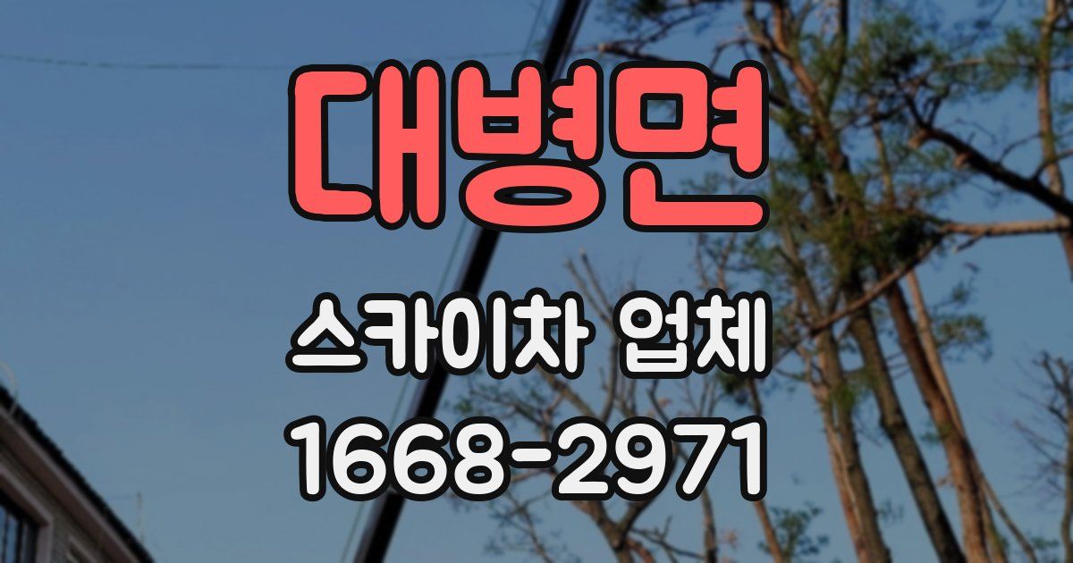 대병면 스카이차 업체