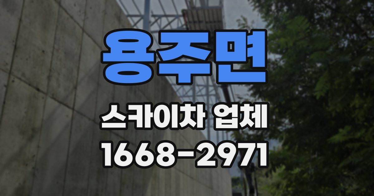 용주면 스카이차 업체