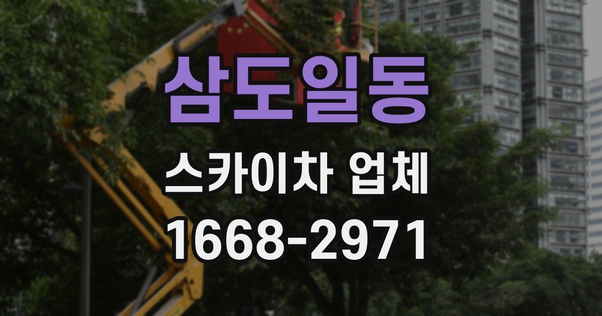 삼도일동 스카이차 업체