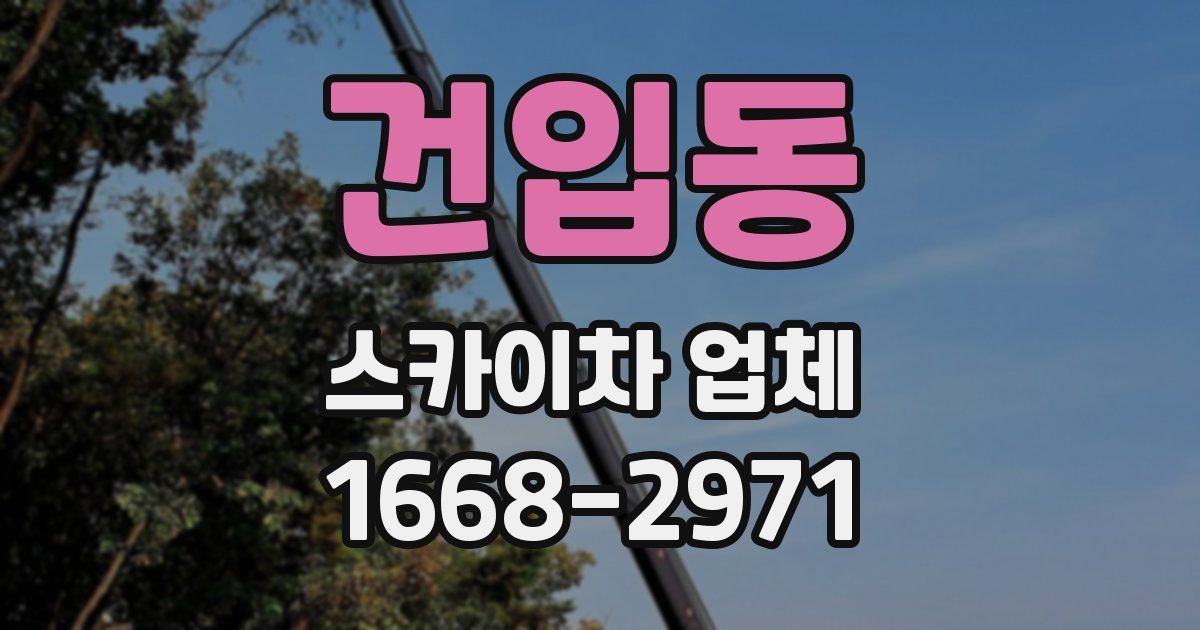 건입동 스카이차 업체
