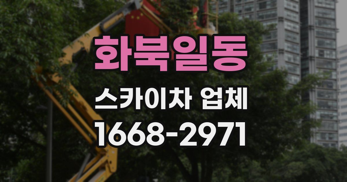 화북일동 스카이차 업체