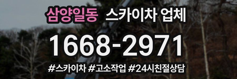 삼양일동 스카이차 업체