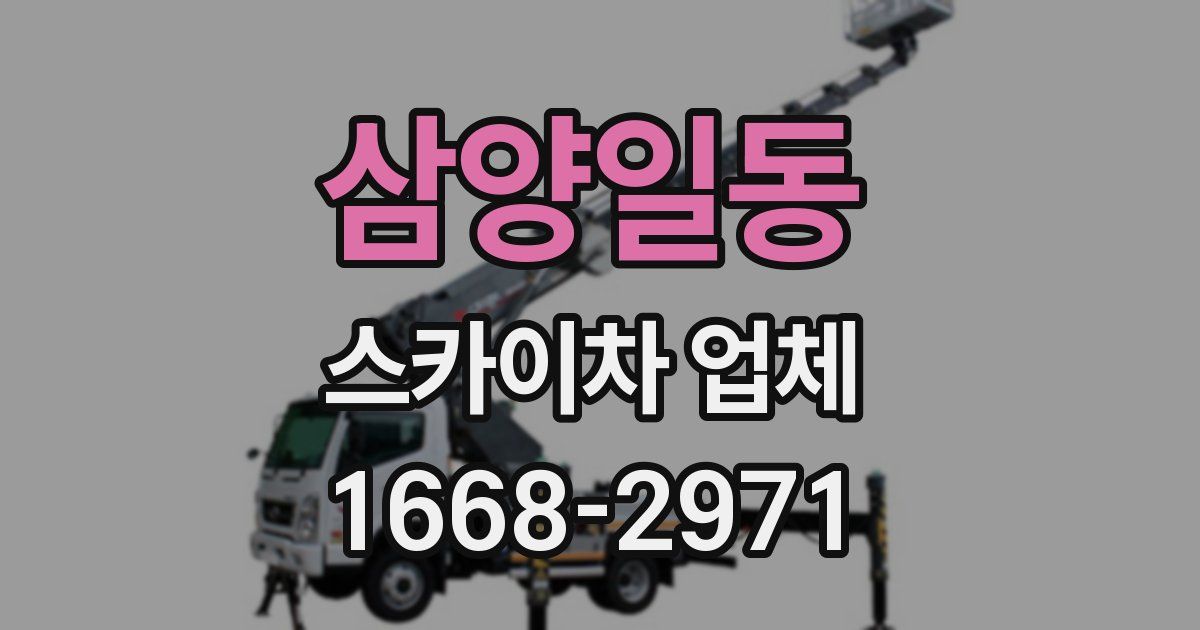 삼양일동 스카이차 업체