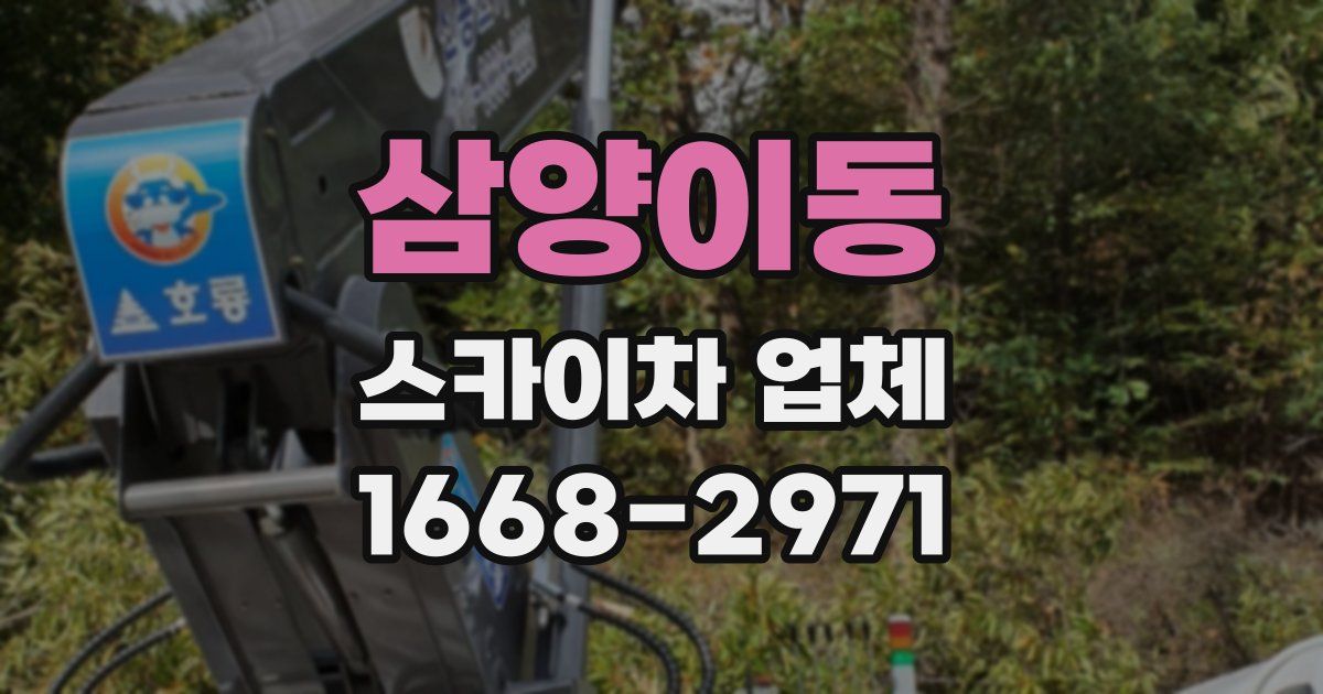 삼양이동 스카이차 업체