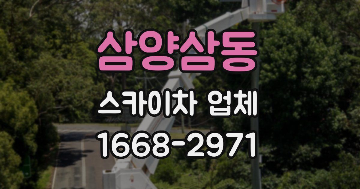 삼양삼동 스카이차 업체