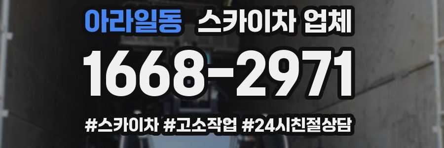아라일동 스카이차 업체