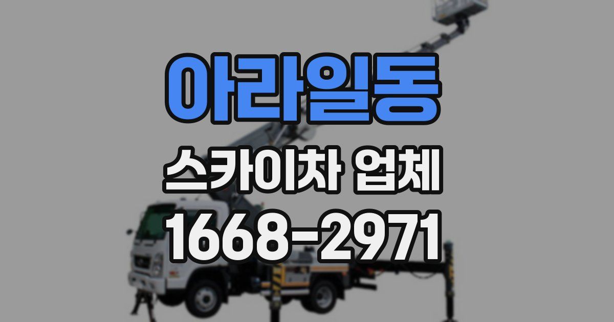 아라일동 스카이차 업체