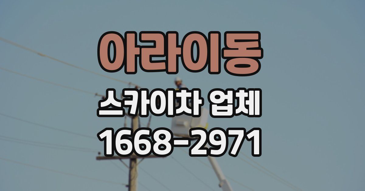 아라이동 스카이차 업체