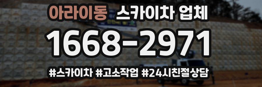 아라이동 스카이차 업체