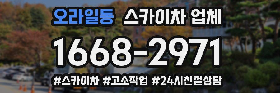오라일동 스카이차 업체