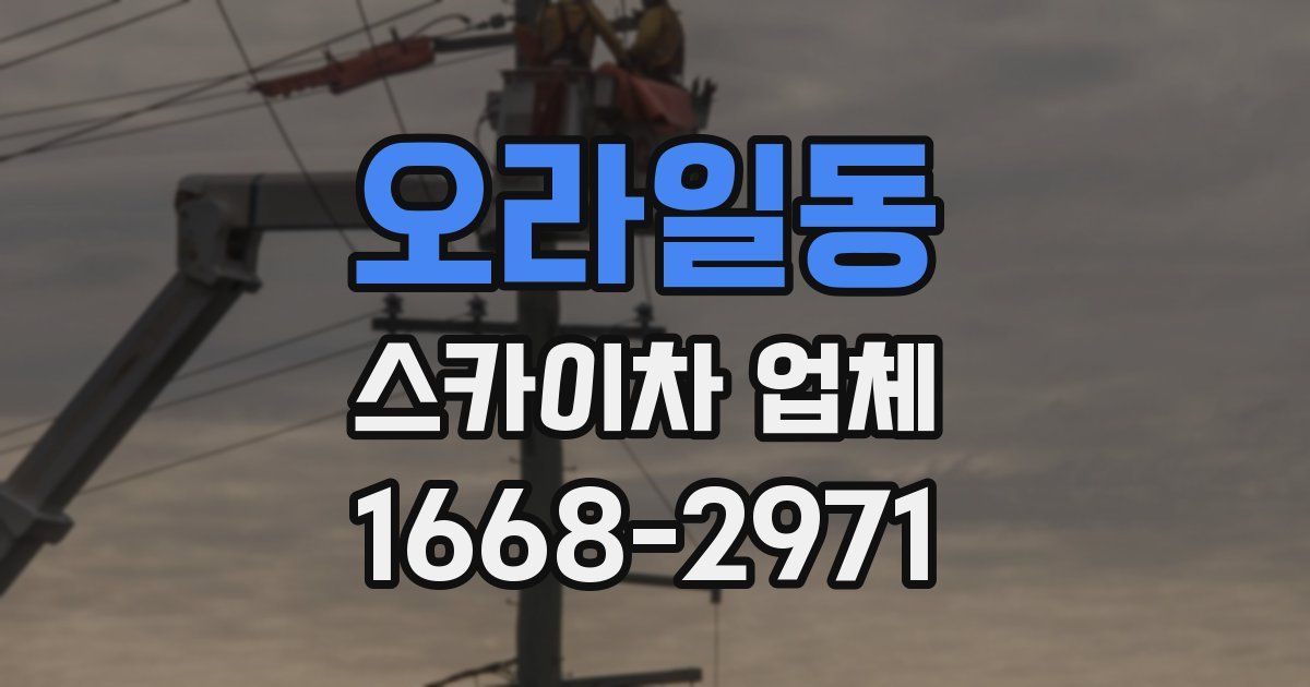 오라일동 스카이차 업체