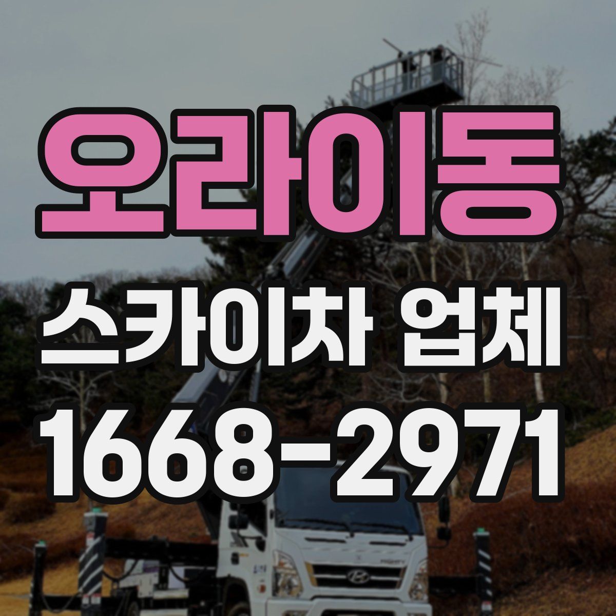 오라이동 스카이차 업체