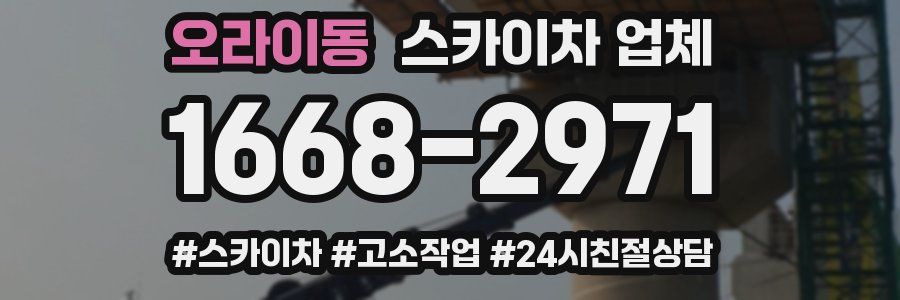 오라이동 스카이차 업체
