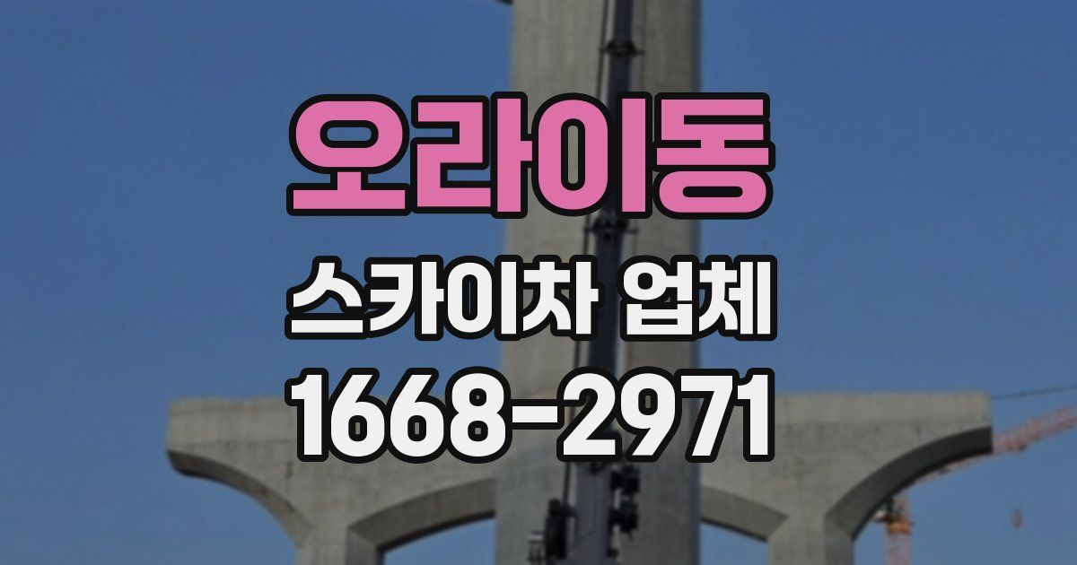 오라이동 스카이차 업체