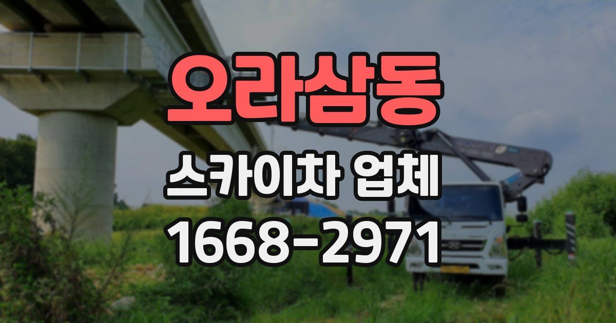 오라삼동 스카이차 업체
