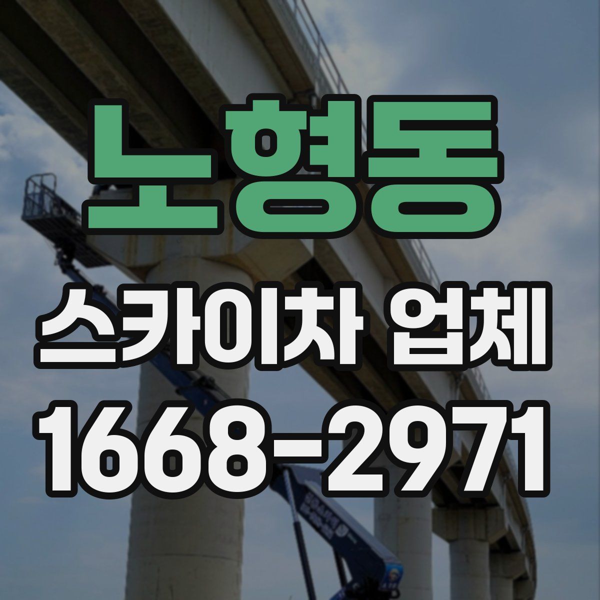 노형동 스카이차 업체