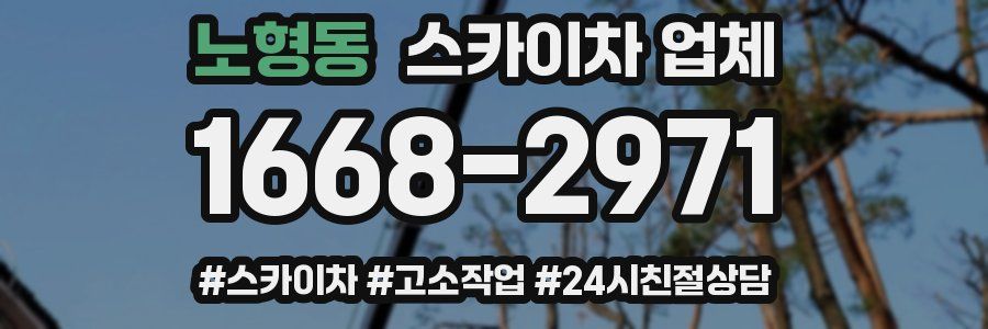 노형동 스카이차 업체