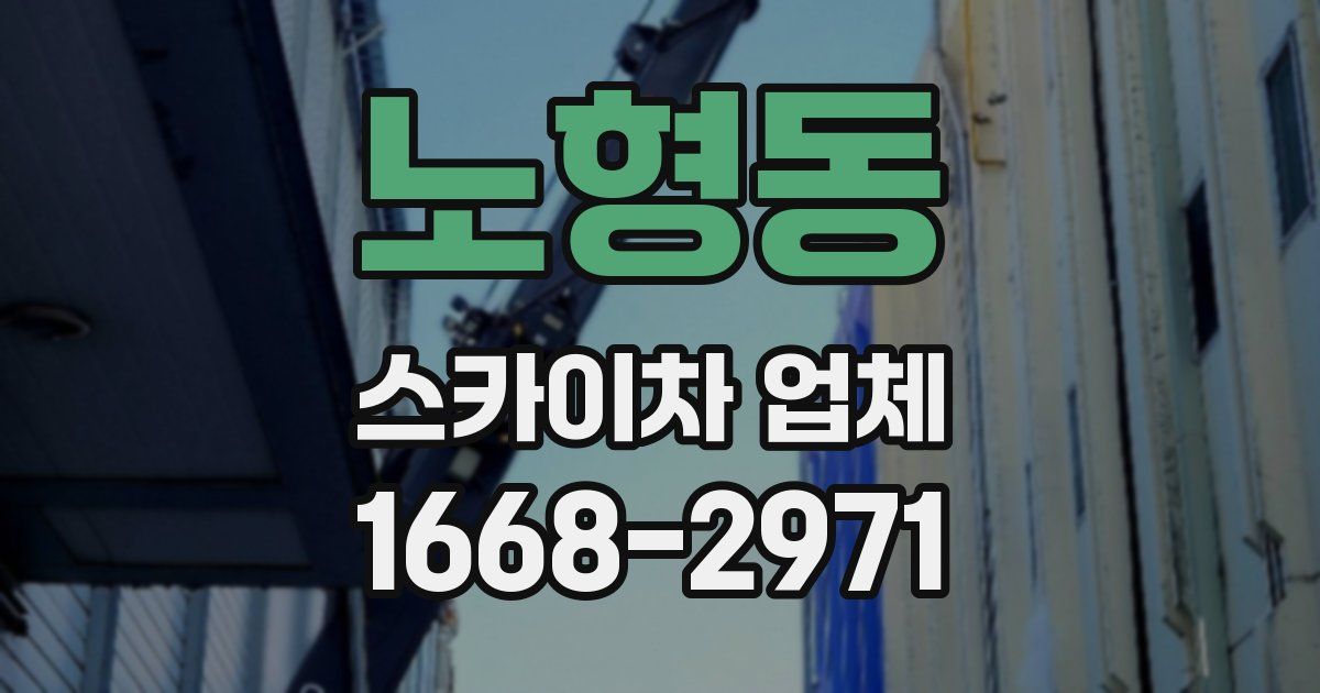 노형동 스카이차 업체
