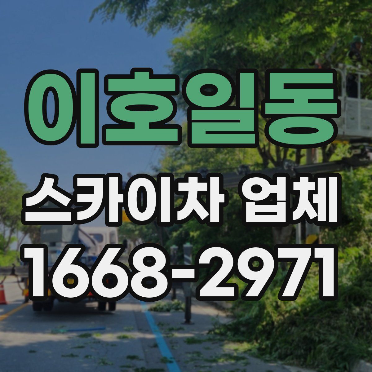 이호일동 스카이차 업체