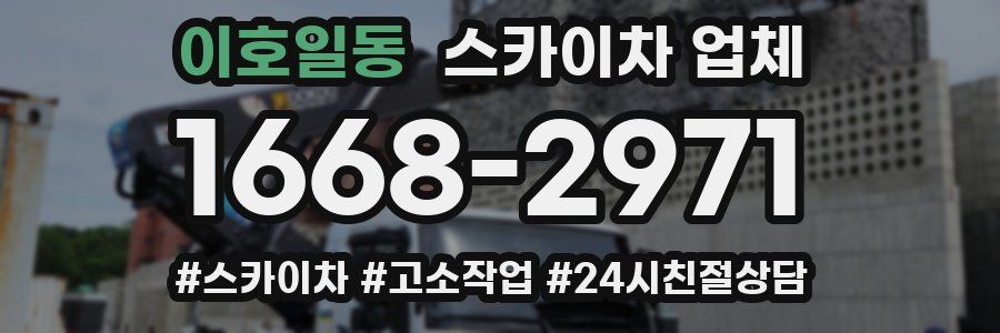 이호일동 스카이차 업체