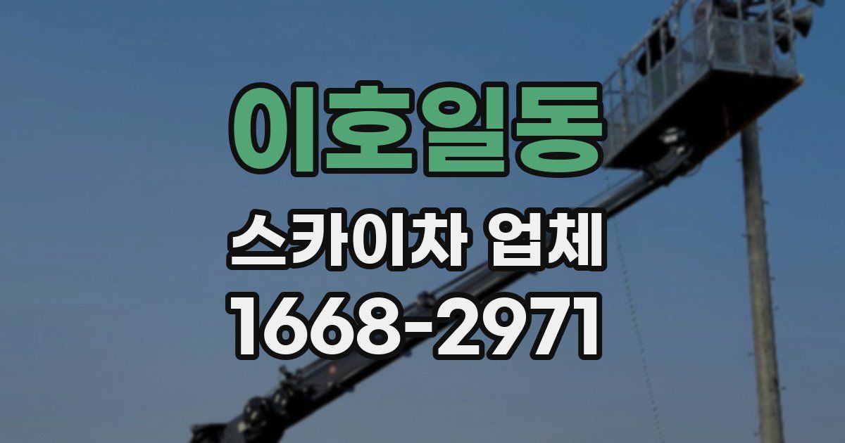 이호일동 스카이차 업체