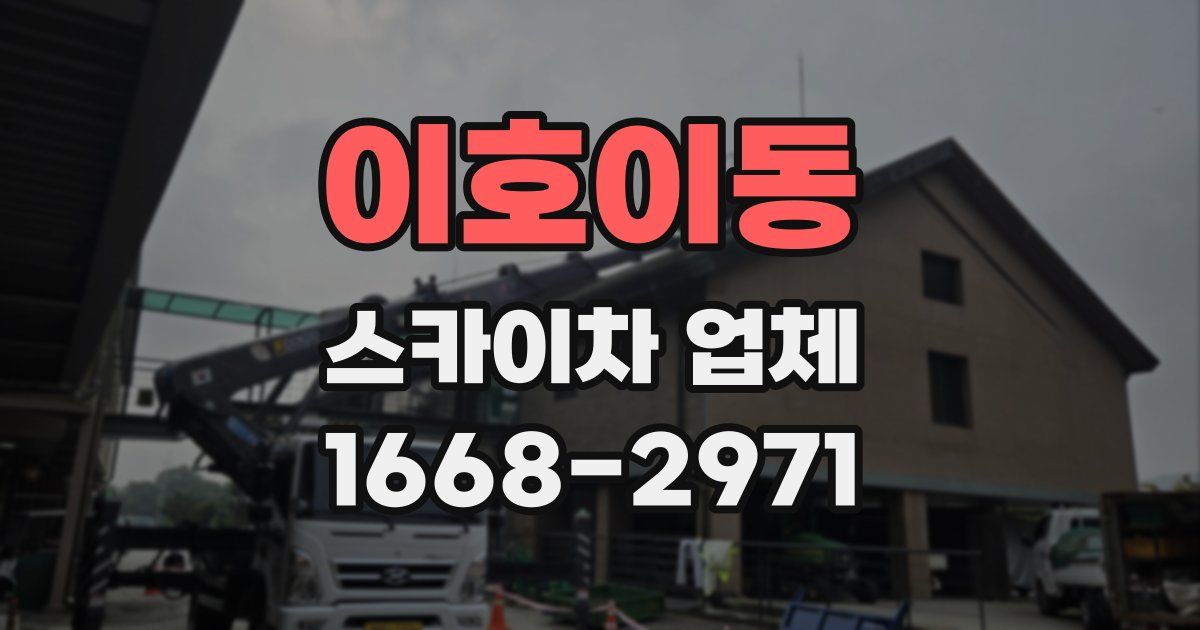 이호이동 스카이차 업체