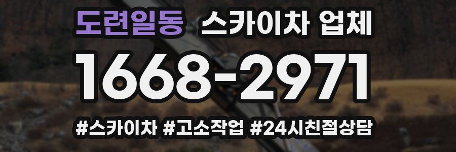도련일동 스카이차 업체
