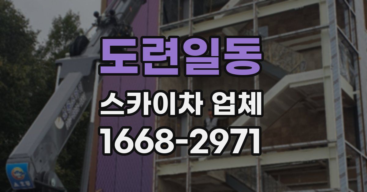 도련일동 스카이차 업체