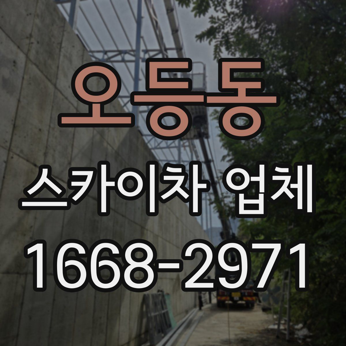 오등동 스카이차 업체