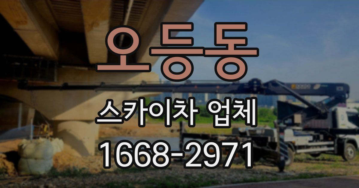 오등동 스카이차 업체