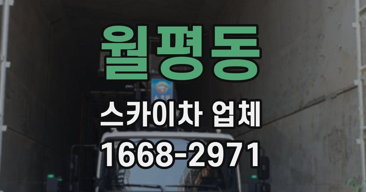 월평동 스카이차 업체