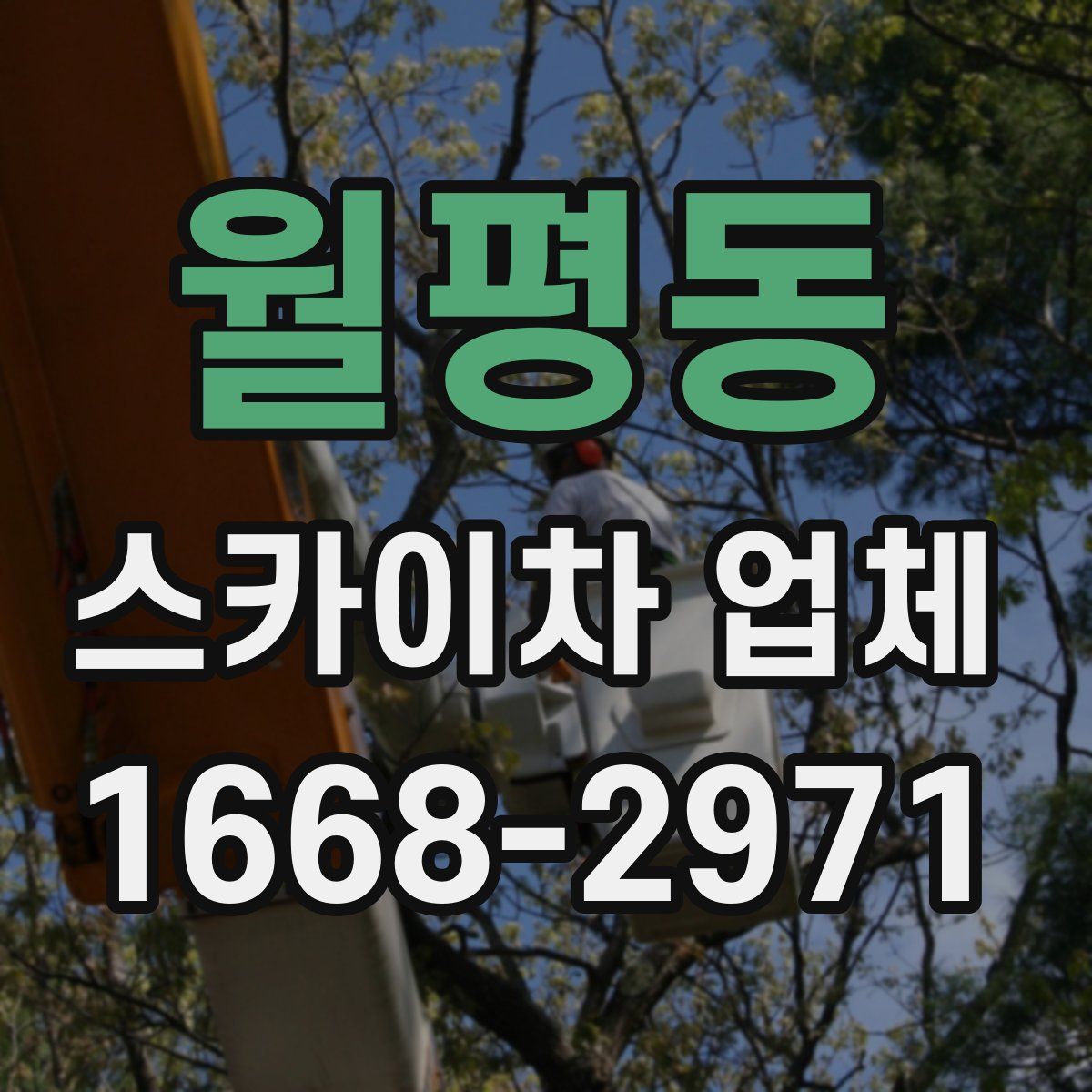 월평동 스카이차 업체