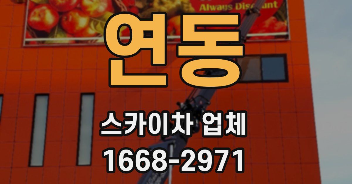 연동 스카이차 업체