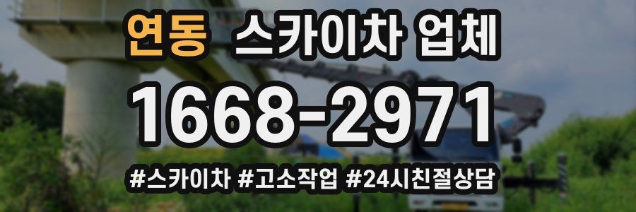 연동 스카이차 업체