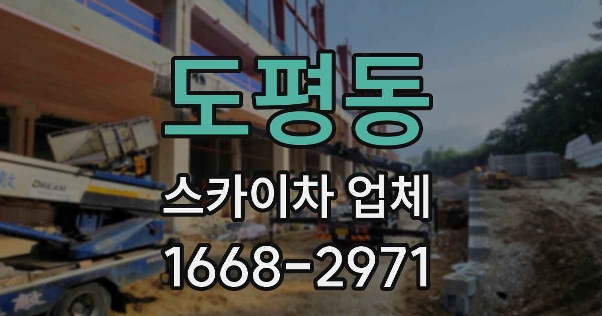 도평동 스카이차 업체