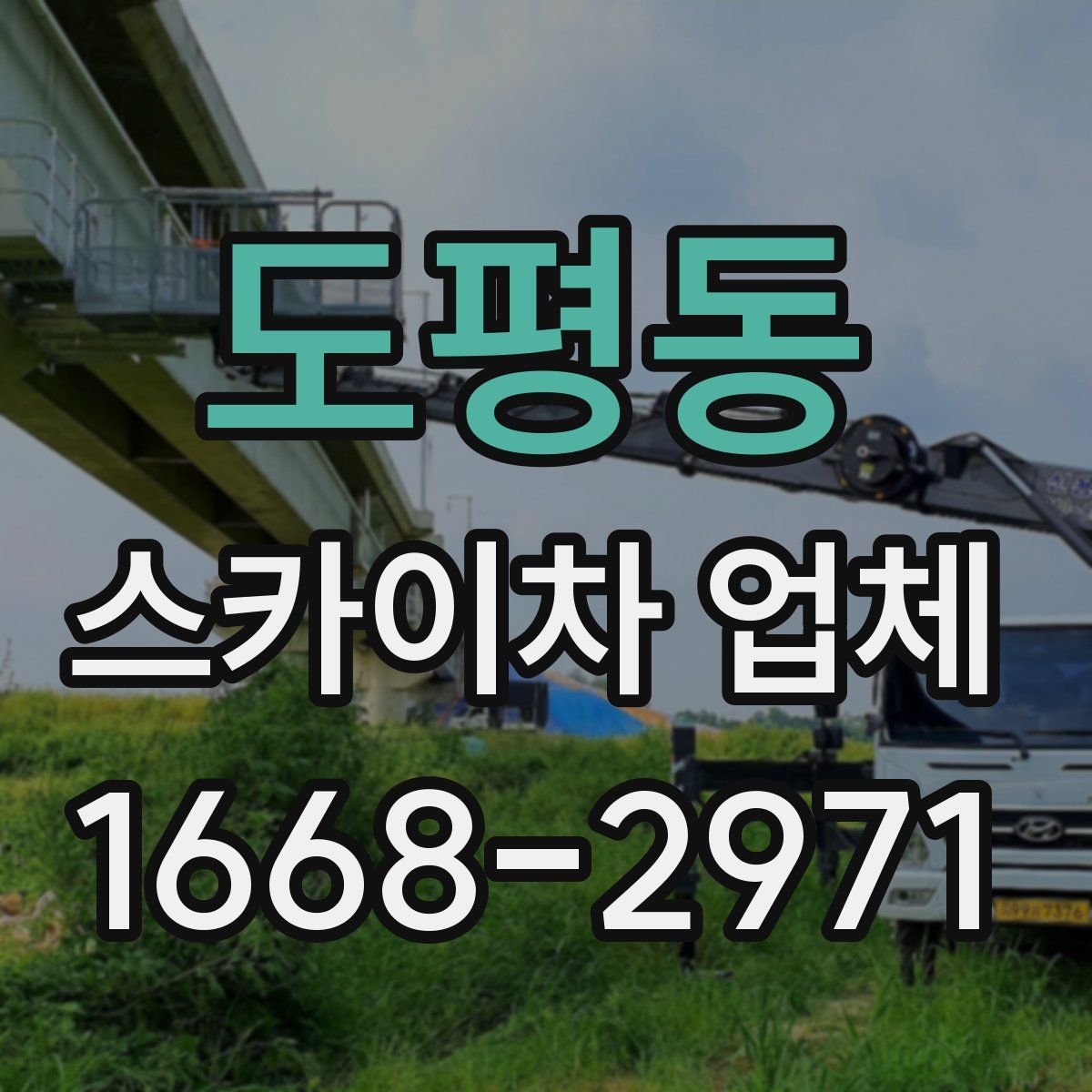 도평동 스카이차 업체