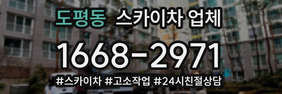 도평동 스카이차 업체
