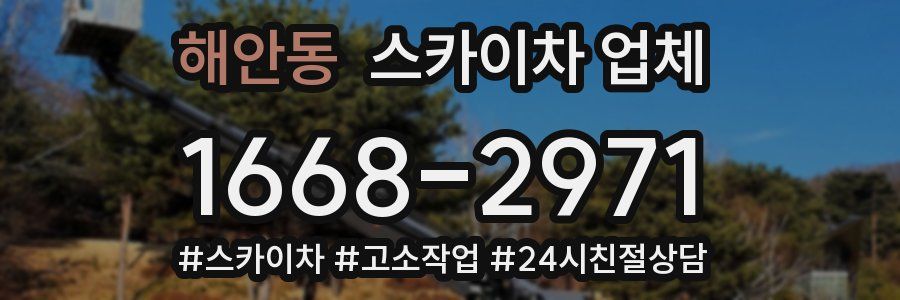 해안동 스카이차 업체