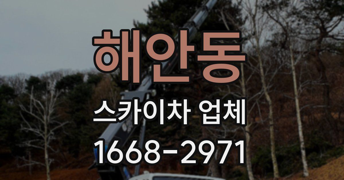 해안동 스카이차 업체