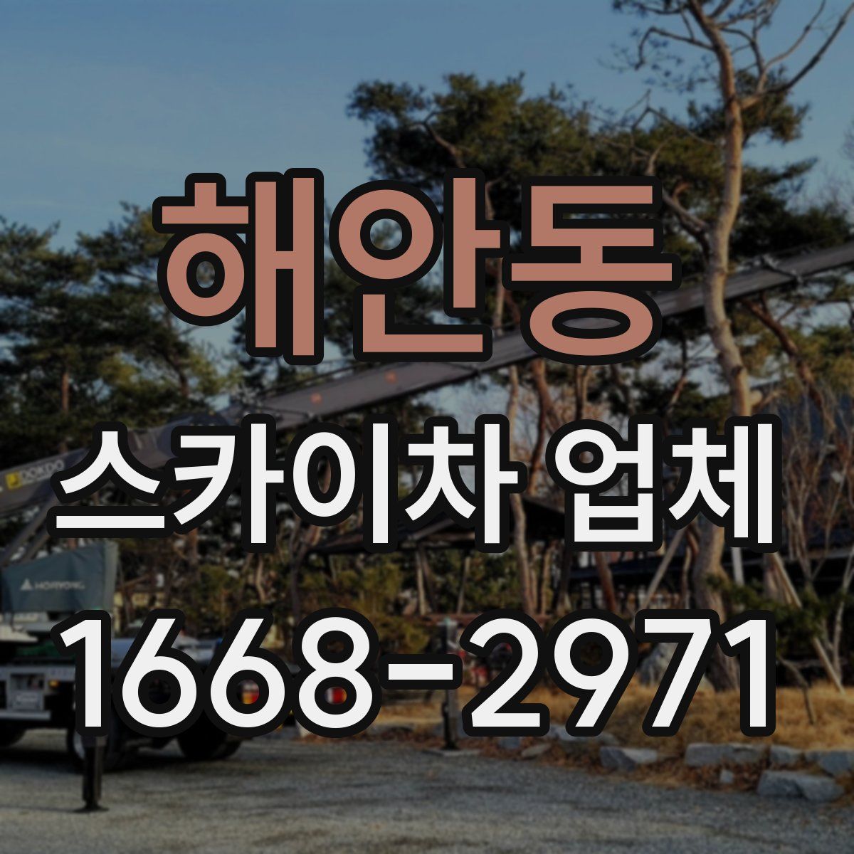 해안동 스카이차 업체