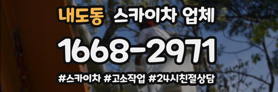 내도동 스카이차 업체