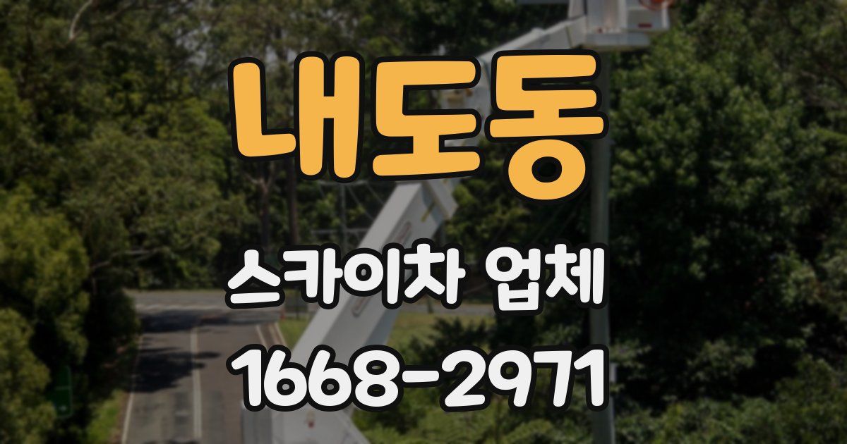 내도동 스카이차 업체