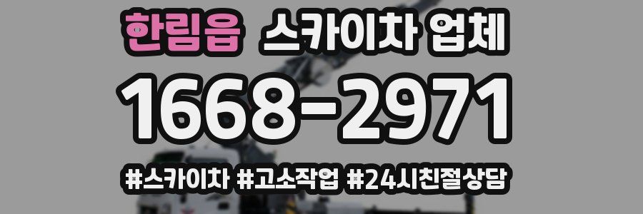 한림읍 스카이차 업체