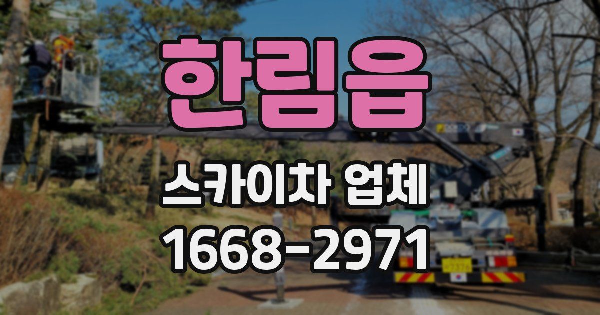 한림읍 스카이차 업체