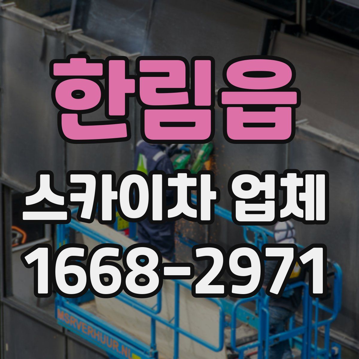 한림읍 스카이차 업체