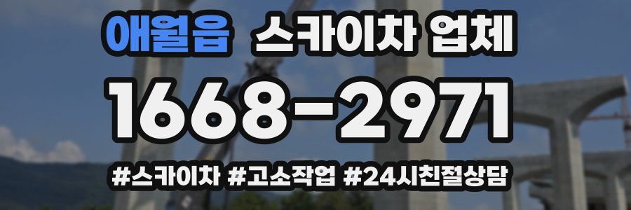 애월읍 스카이차 업체