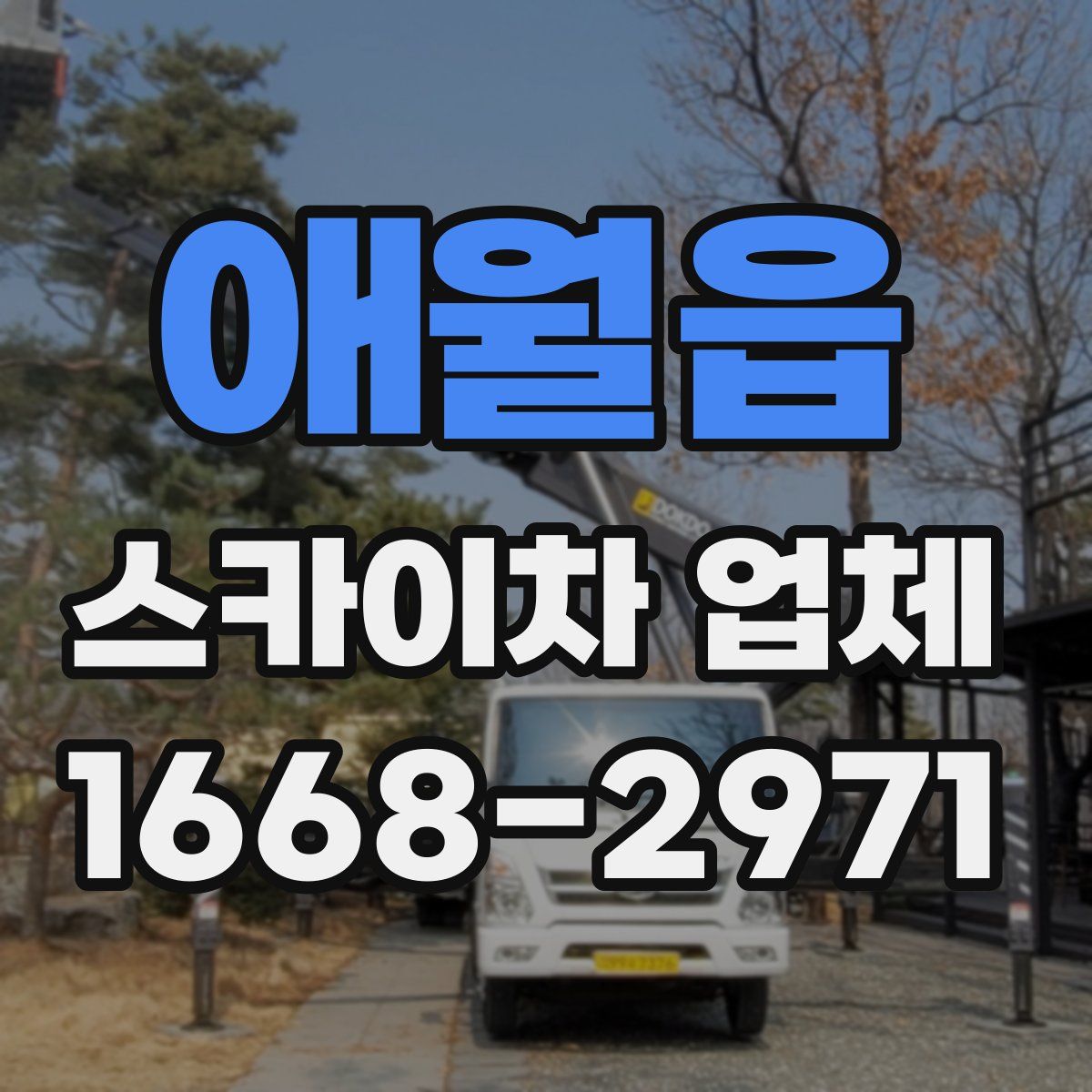 애월읍 스카이차 업체